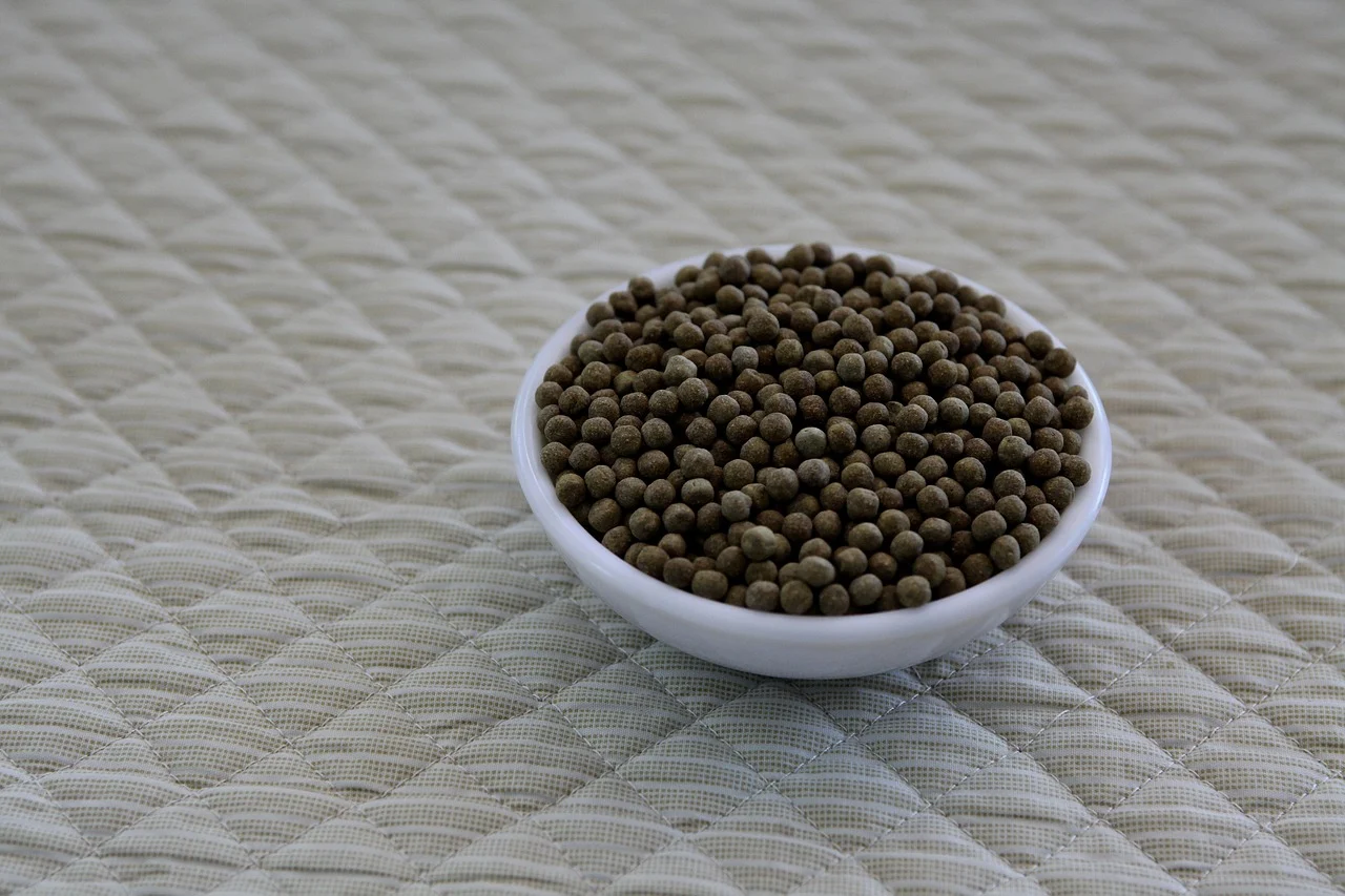 in cat timp isi face efectul creatina