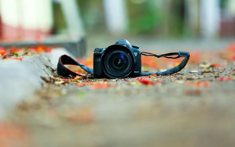 in cat timp se vindeca keratita