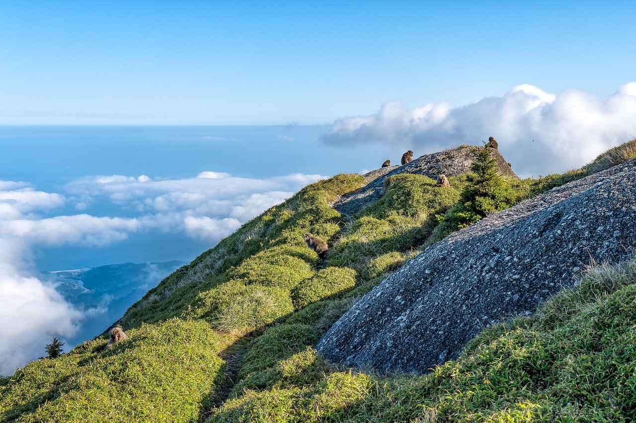 cate sedinte de chimioterapie se fac