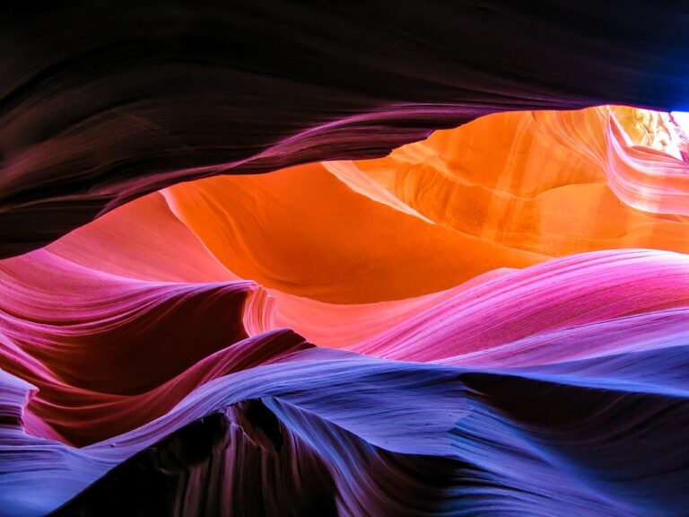 ce inseamna formatiune tisulara